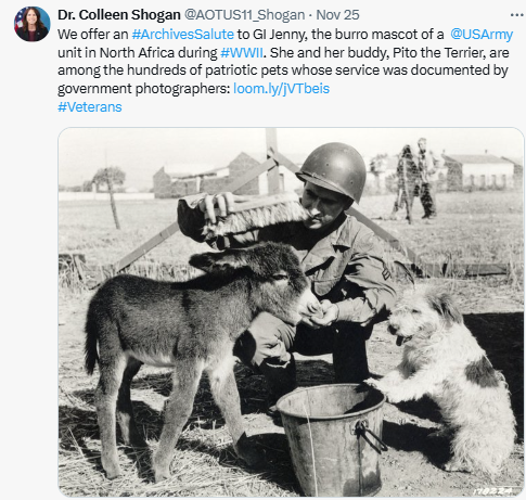 Cpl. William Wende brushes GI Jenny, the burro mascot of an Army unit in North Africa. The interested terrier is named Pito. Ca. 1943. (111-SC-178224)