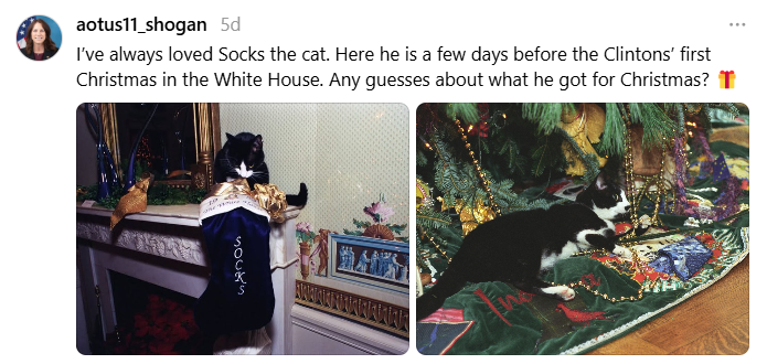 First Cat Socks inspects his stocking a few days before the Clintons’ first Christmas in the White House. Photo credit: Barbara Kinney, December 21, 1993.